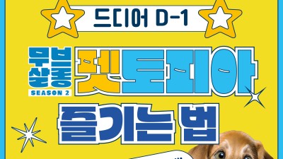 [무브살롱 시즌2: 펫토피아] 이번 주말 양재천에서 반려동물 행사 개최!