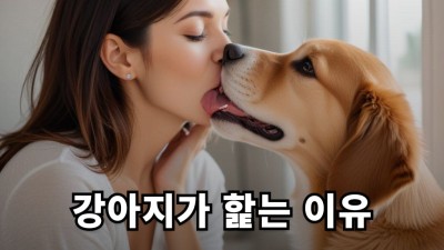 강아지가 핥는 이유 - 사랑의 표현일까, 문제 행동일까?