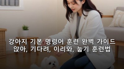 강아지 기본 명령어 훈련 완벽 가이드 - 앉아, 기다려, 이리와, 눕기 훈련법