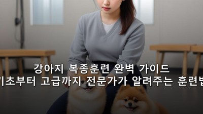 강아지 복종훈련 완벽 가이드 - 기초부터 고급까지 전문가가 알려주는 훈련법